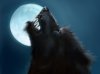 werewolf-howling-bizarbin-dot-com1.jpg